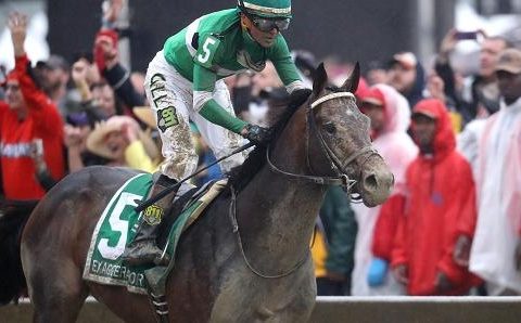 Exaggerator Looks Beatable at Short Odds in 2016 Belmont Stakes