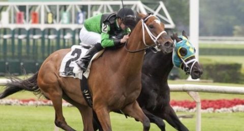Illinois-Bred The Pizza Man Tops Field for $200,000 Wise Dan Stakes