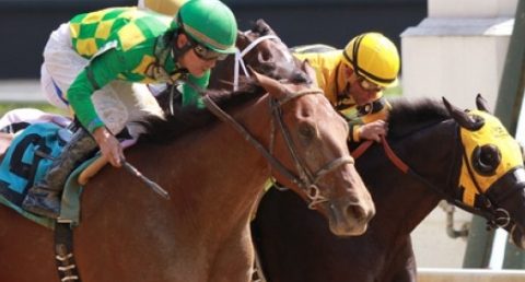 Picks and Preview for the Arlington Million Stakes